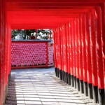 せいめん 未さく - 