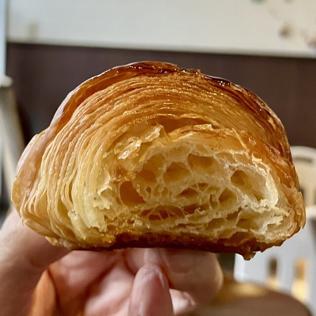 Morino Komugi photo 3