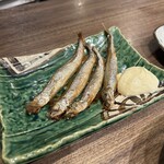 深夜食堂めがね - 