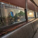 和の食彩 吉楽庵 - 