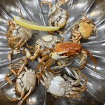 サカトケ乃カミ - 1匹威嚇してくるサワガニがいます