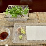 美加登家 - 新緑の下に氷、その中に背越し