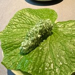 茶禅華 - クラゲ　葉山葵　さわやかな葉山葵にクラゲのコリコリ感が新しい