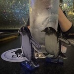 ペンギンのいるダイニングバー沖縄 - 