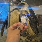 ペンギンのいるダイニングバー沖縄 - 