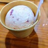 サンクゼールファクトリーアウトレット - ものすごく 粘り気があってクリーミーな ジェラートでした　ソルベのような シャリシャリのジェラートを想像していたのですが とても クリーミーで美味しかったです