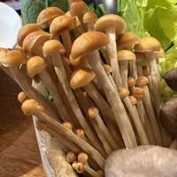 しゃぶしゃぶ KINTAN 代官山本店 - 