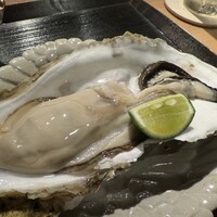 目黒 ながもと - 