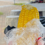 사쿠라노 햣카텐 아오모리혼텐