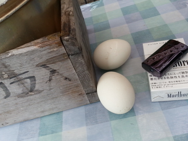 滝ノ上温泉 滝峡荘 &ndash; 雫石町で味わう自然と癒しの宿