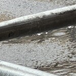 ラ タベルネッタ ムラカミ - しとしとぴっちゃんである