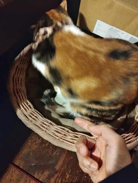 Nikomiyahyoroku photo 5