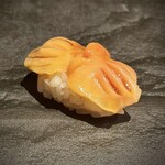 KAPPO-SUSHI 風ひかる - 