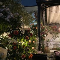 表参道バンブー - 