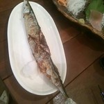 串焼きダイニング Den - 新サンマ