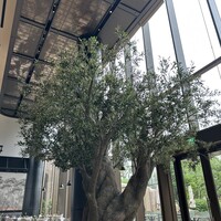 ジャヌ メルカート - 