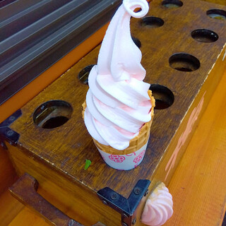 ひらおか梅ほんぽ_0