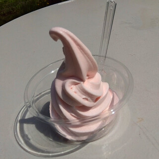 ひらおか梅ほんぽ_1