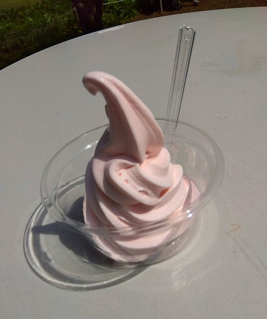 Hiraoka Ume Honpo photo 2