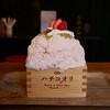ハチコオリ