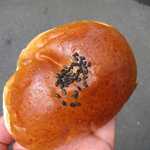 佐藤ベーカリー - つぶアンパン￥１２０