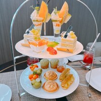 Lounge & Dining G - 