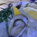5108 MUSSEL&GIN ALSO