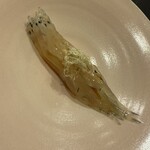 あま木 - のれそれ