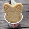 こもれび森のイバライド　 - 