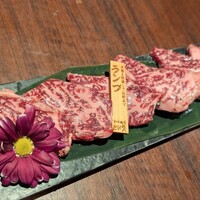 和牛焼肉 とびうし 飯田橋 - 