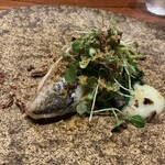 luogo - 沼津　マナガツオ　新玉葱　山葵