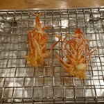 藤吉 - 車エビの頭