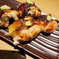 鳥ばか一代 - 
