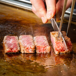 こむぎは世界を救う - 