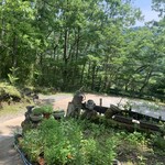 ログカフェ 市房の風 - 