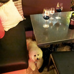 AW ・ELEMENTS - ソファーとロー・テーブル