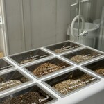 アラビカ東京 麻布台ヒルズB1店 - 