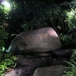 On the Rock - 前回ここを利用した友人がここのロケーションと食事が素晴らしいと推薦してくれたので皆で訪問しました。
            