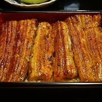 大江戸 南青山店 - 