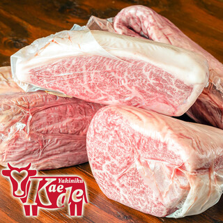 Savor A5 Rank Yamagata Wagyu