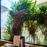 やぶ善 - いつもの窓際席で。