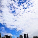 やぶ善 - いよいよ暑くなりそうな気配の6月上旬。