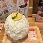 Cafe Elephant Mountain