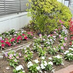 銀座に志かわ - 