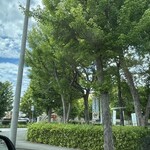 インデアンレストラン  ニューミラ - 目に入る景色がいちいち素晴らしくて三歩歩まず^_^