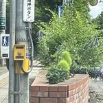 インデアンレストラン  ニューミラ - 吾妻中のコキアもだいぶ存在感を増した