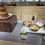 すたみな太郎 PREMIUM BUFFET - チョコレートファウンテンコーナー