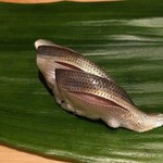 匠　達広 - こはだ