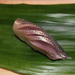 匠　達広 - 小肌