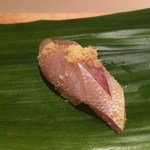 匠　達広 - 春子鯛